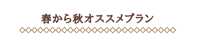 春から秋のオススメプラン