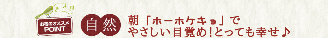 朝「ホーホケキョ」でやさしい見覚め！とっても幸せ♪